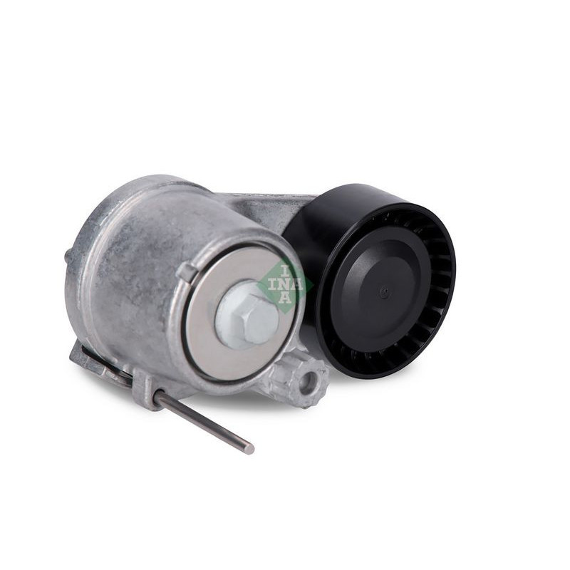 Tendicinghia trapezoidale - INA