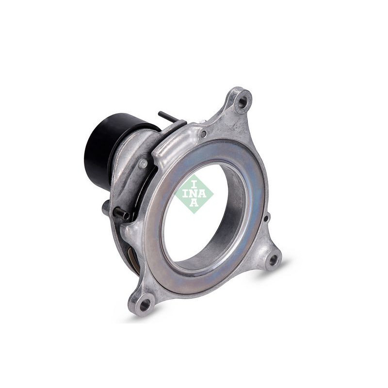 Tendicinghia trapezoidale - INA