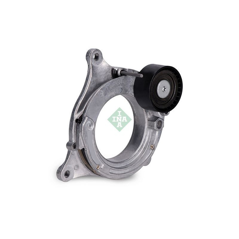 Tendicinghia trapezoidale - INA