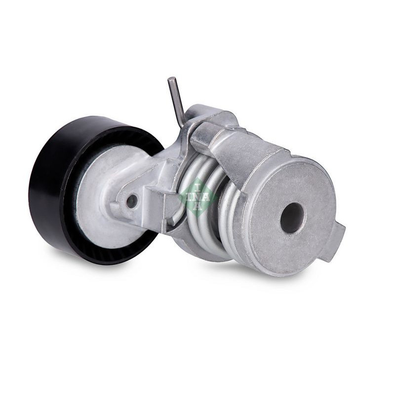 Tendicinghia trapezoidale - INA