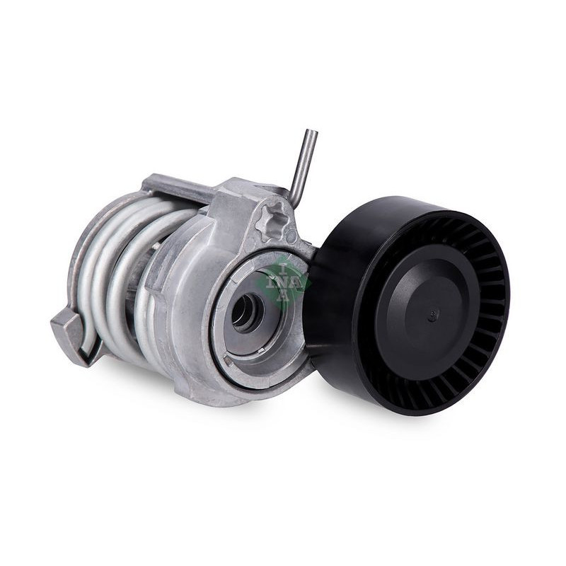 Tendicinghia trapezoidale - INA