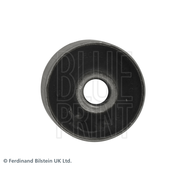 Supporto braccio oscillante - BLUE PRINT