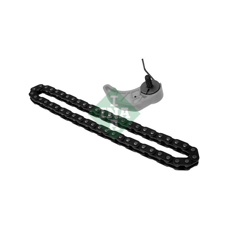 Cinghia/catena distribuzione - INA