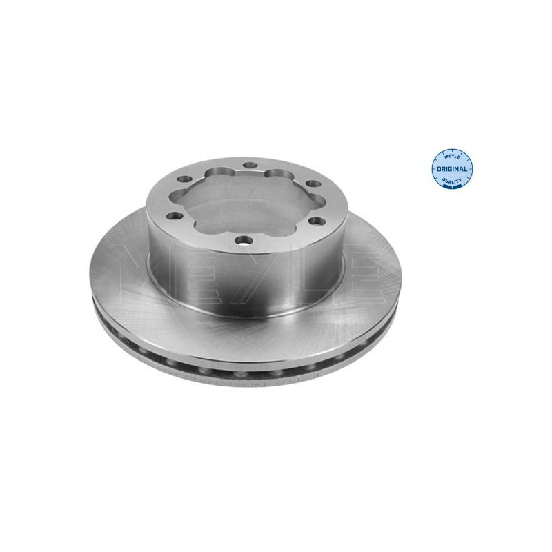 Disco freno asse posteriore - MEYLE