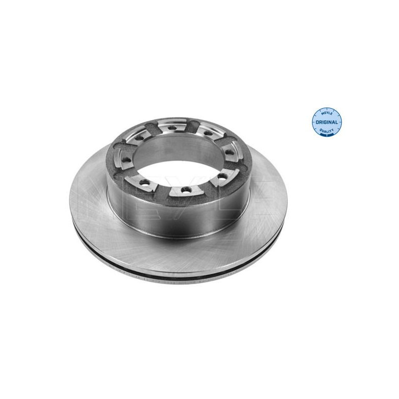 Disco freno asse posteriore - MEYLE