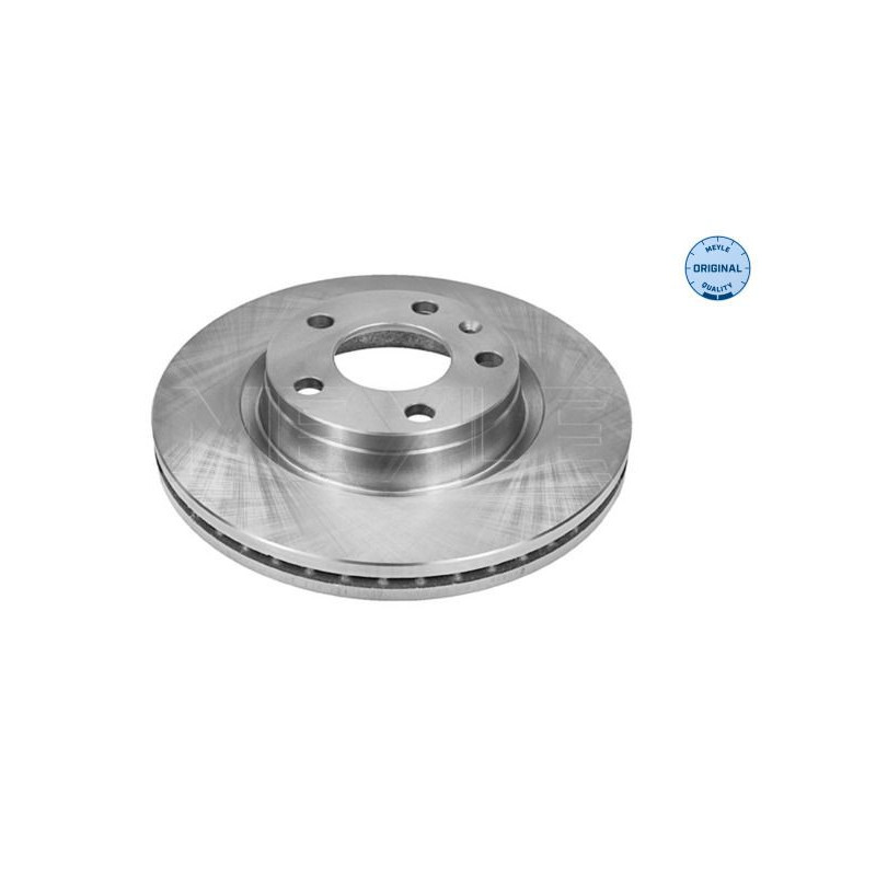 Disco freno asse posteriore - MEYLE