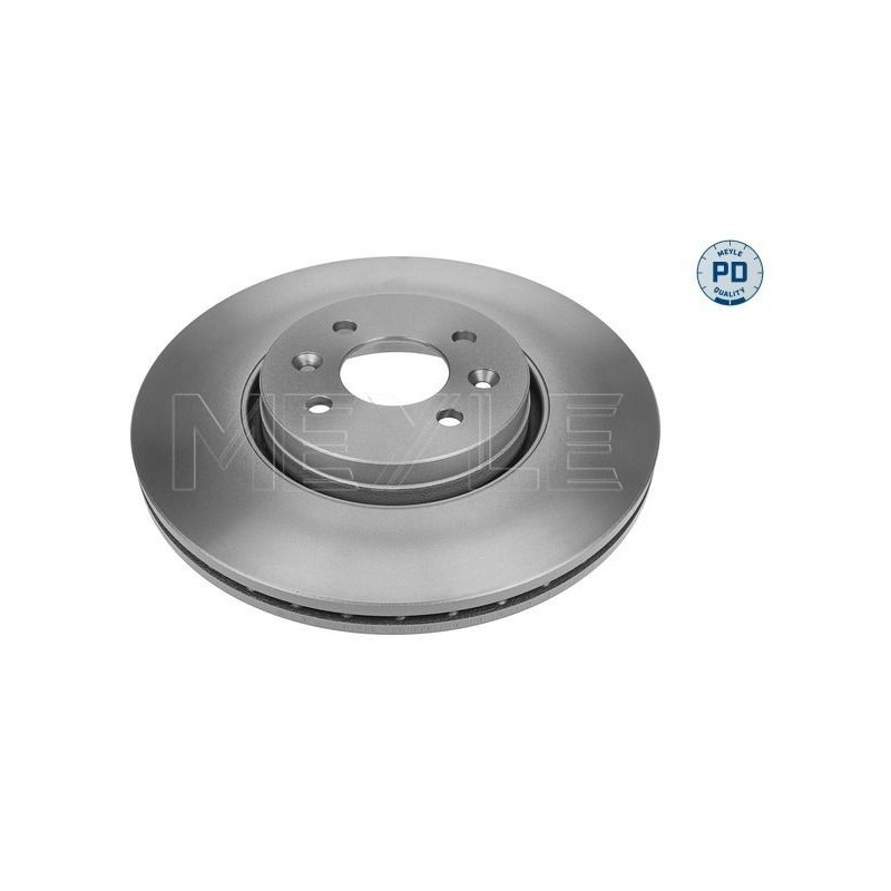 Disco freno asse anteriore - MEYLE