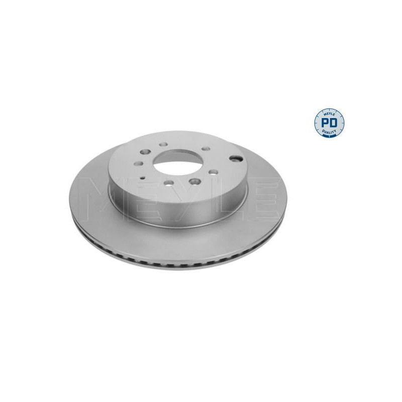 Disco freno asse posteriore - MEYLE