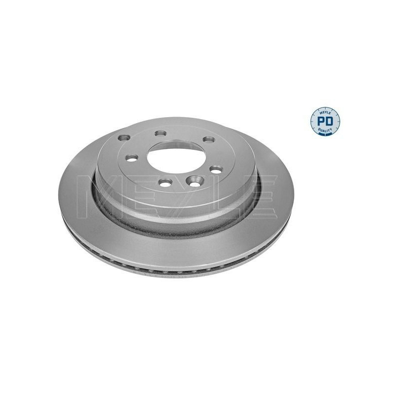 Disco freno asse posteriore - MEYLE