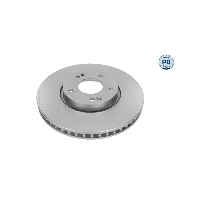 Disco freno asse anteriore - MEYLE