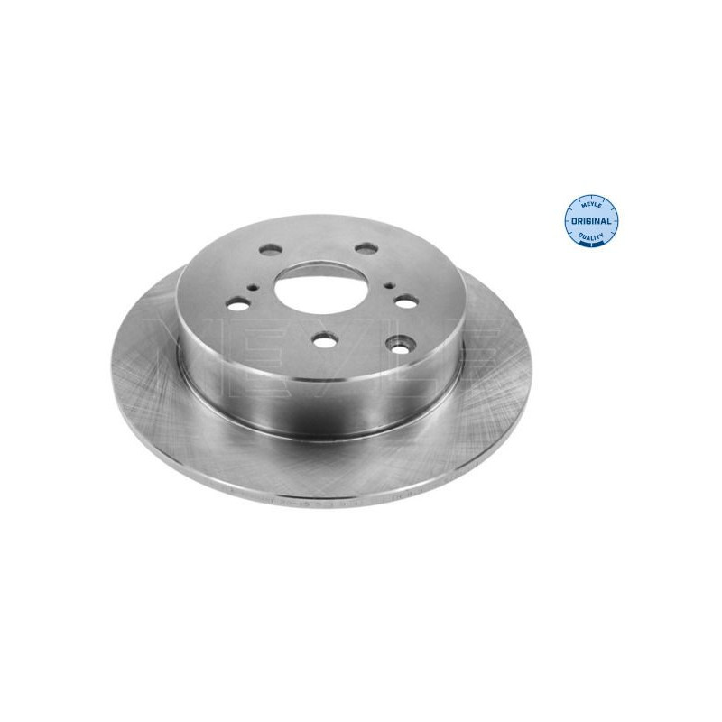 Disco freno asse posteriore - MEYLE