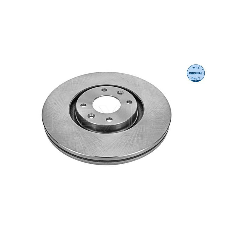 Disco freno asse anteriore - MEYLE