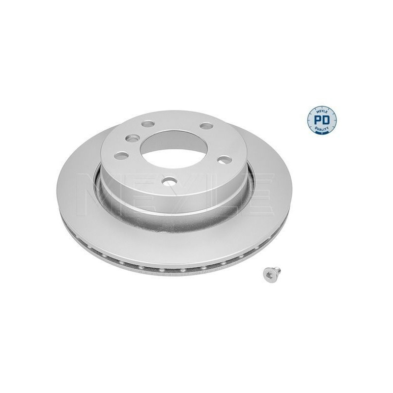 Disco freno asse posteriore - MEYLE