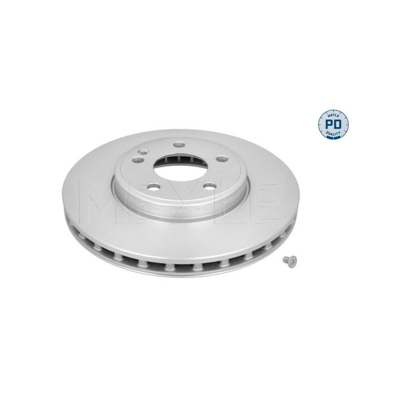 Disco freno asse anteriore - MEYLE