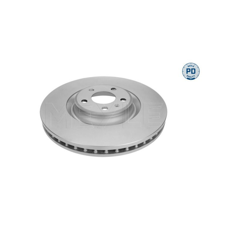 Disco freno asse anteriore - MEYLE