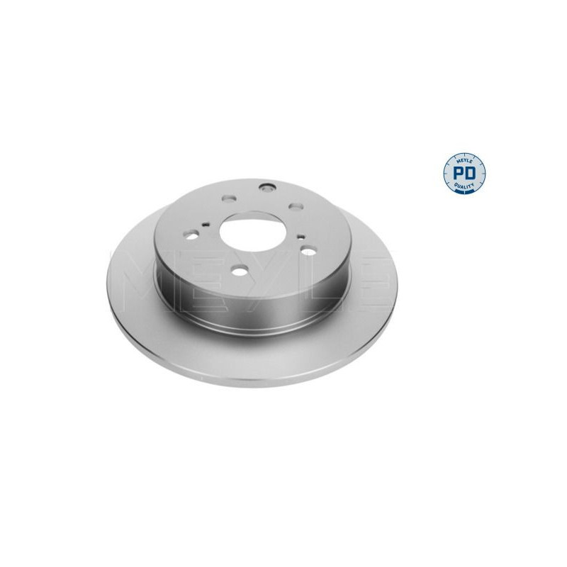 Disco freno asse posteriore - MEYLE