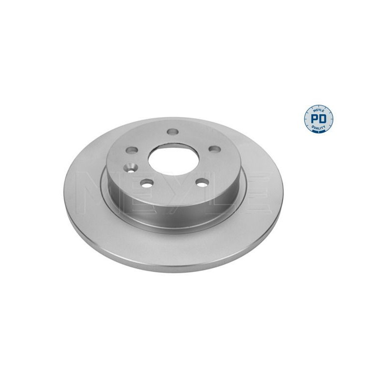 Disco freno asse posteriore - MEYLE
