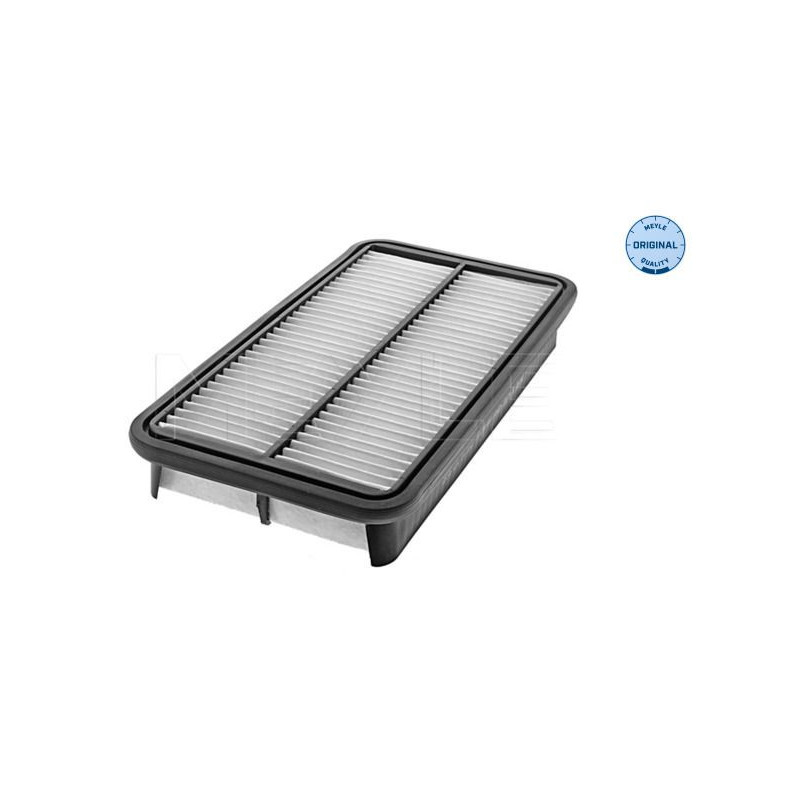 Filtro aria - MEYLE