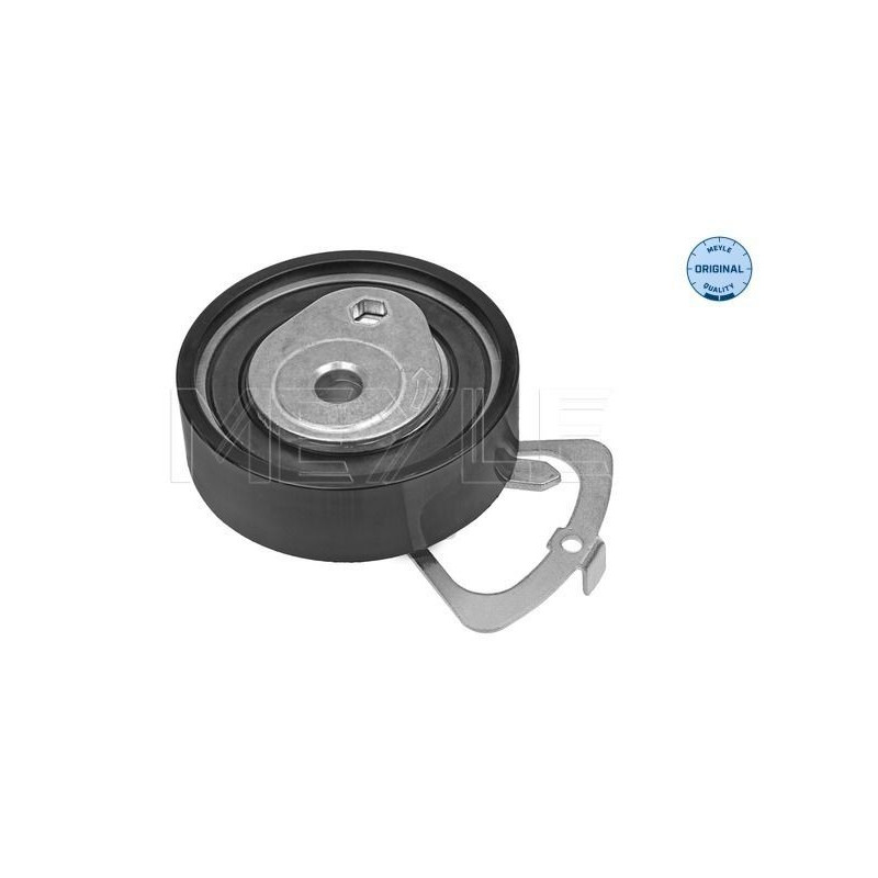 Tendicinghia distribuzione - MEYLE