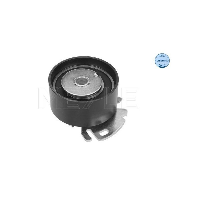 Tendicinghia distribuzione - MEYLE