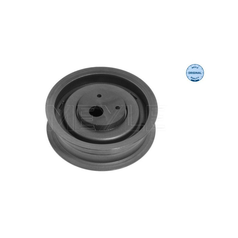 Tendicinghia distribuzione - MEYLE