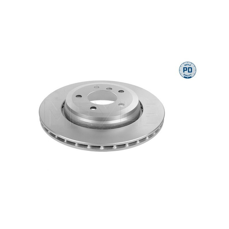 Disco freno asse posteriore - MEYLE