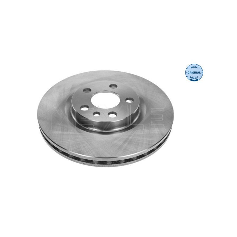 Disco freno asse anteriore - MEYLE