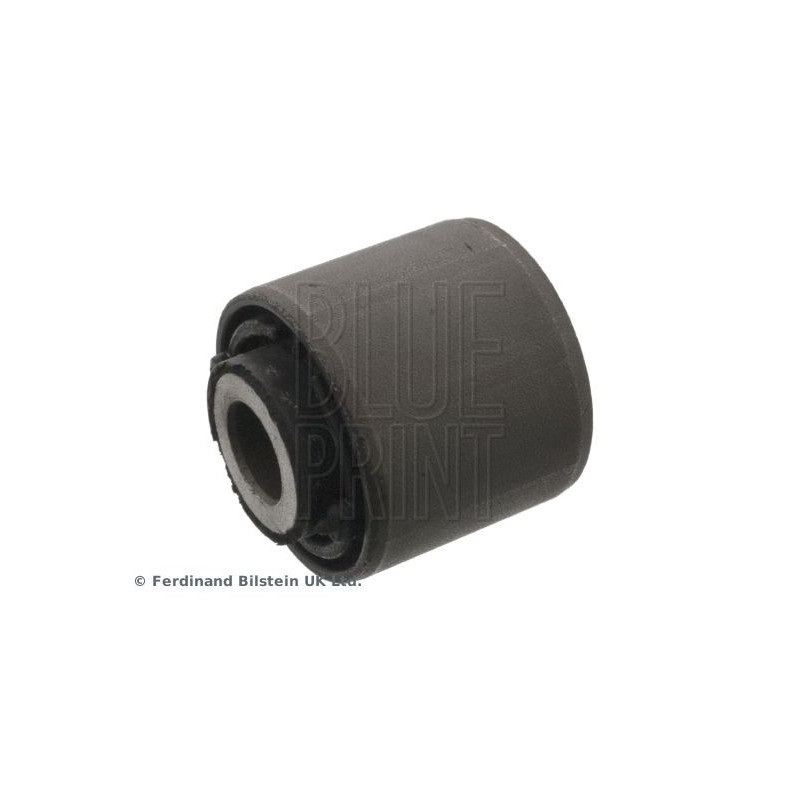 Supporto braccio oscillante - BLUE PRINT