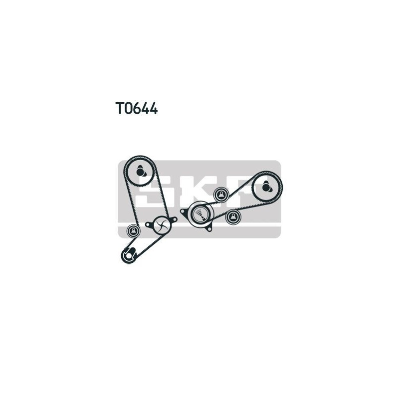 Cinghia/catena distribuzione - SKF