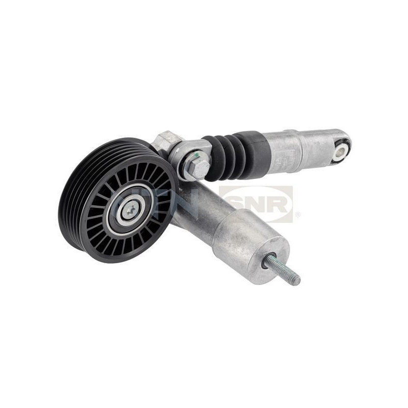 Tendicinghia trapezoidale - SNR