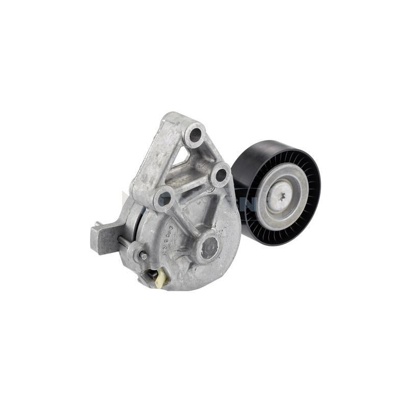 Tendicinghia trapezoidale - SNR