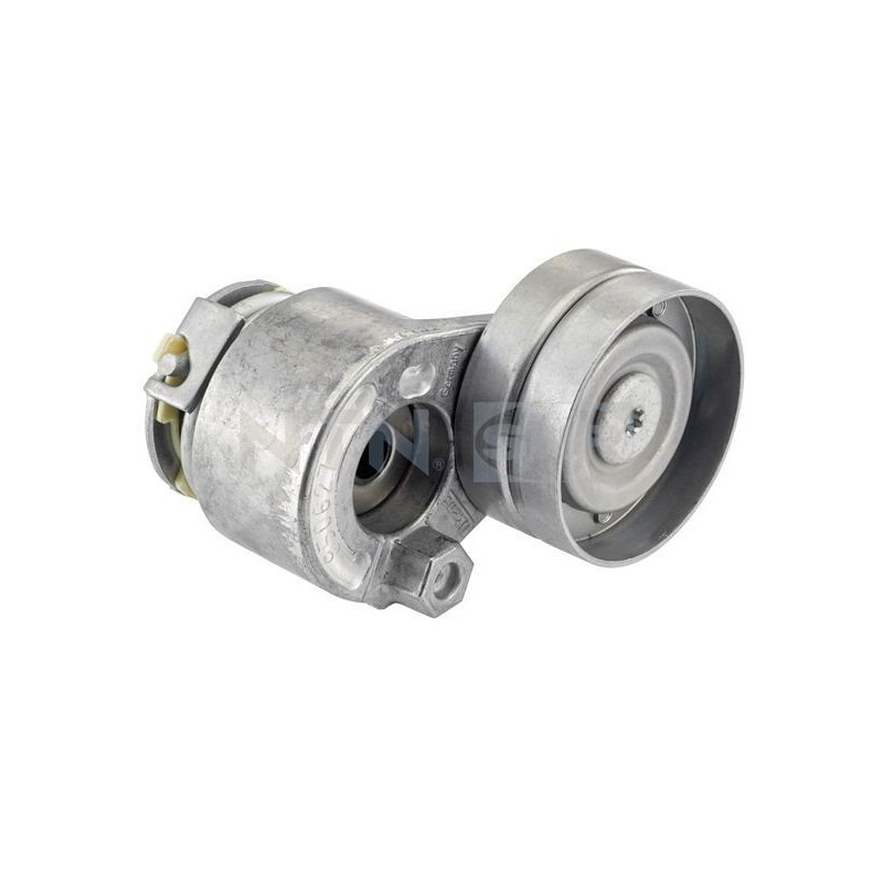 Tendicinghia trapezoidale - SNR