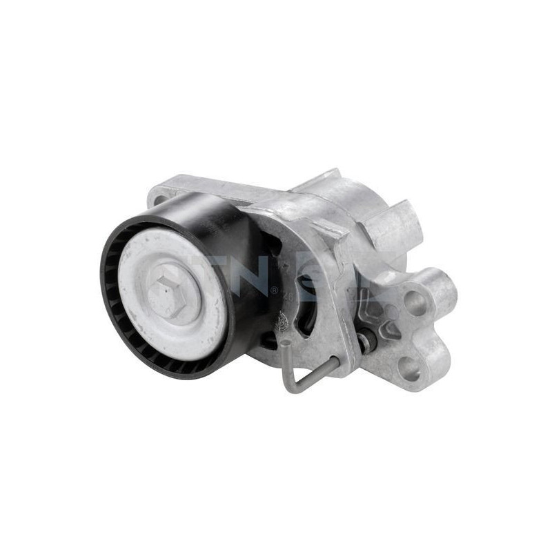 Tendicinghia trapezoidale - SNR