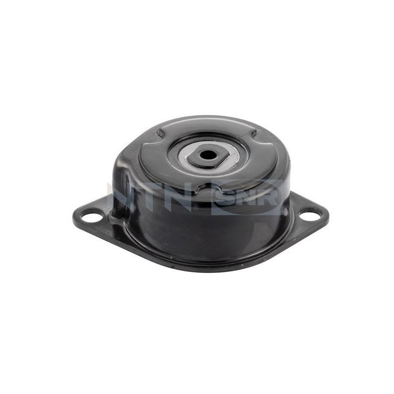 Tendicinghia trapezoidale - SNR