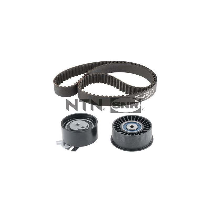 Cinghia/catena distribuzione - SNR