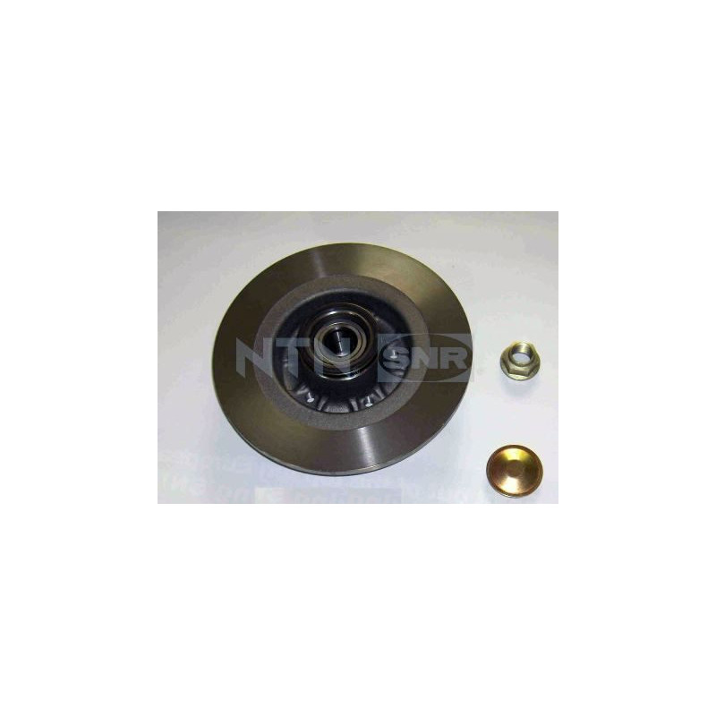 Disco freno asse posteriore - SNR