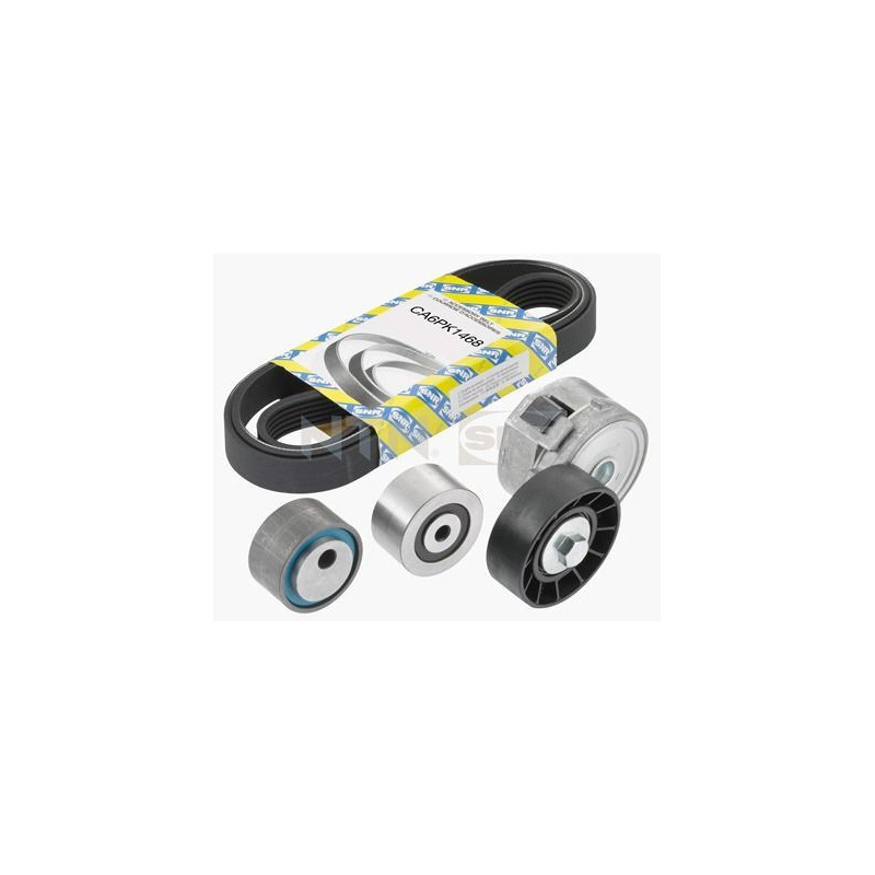 Tendicinghia trapezoidale - SNR