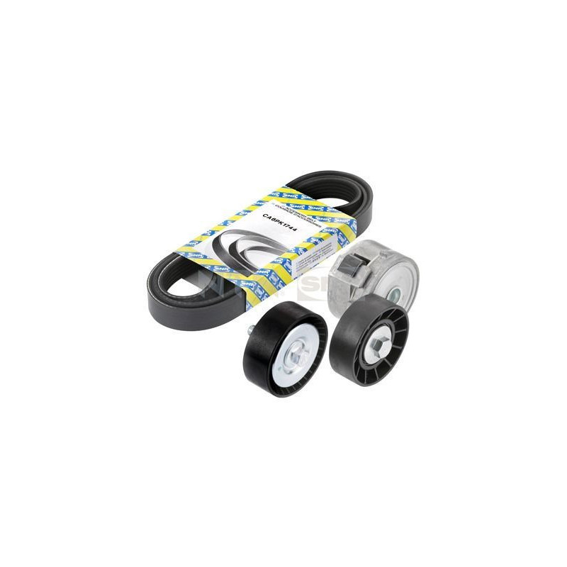 Tendicinghia trapezoidale - SNR