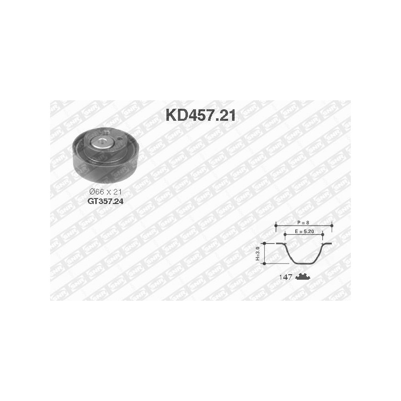 Cinghia/catena distribuzione - SNR
