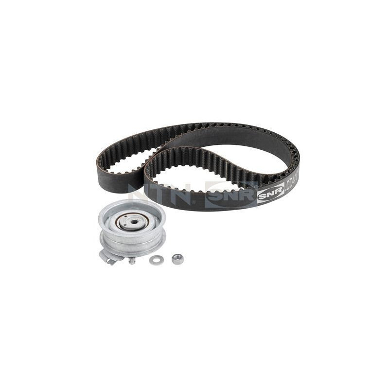 Cinghia/catena distribuzione - SNR