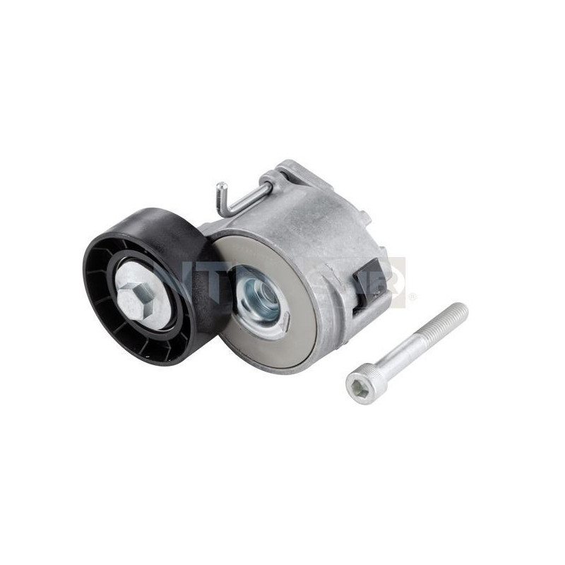 Tendicinghia trapezoidale - SNR