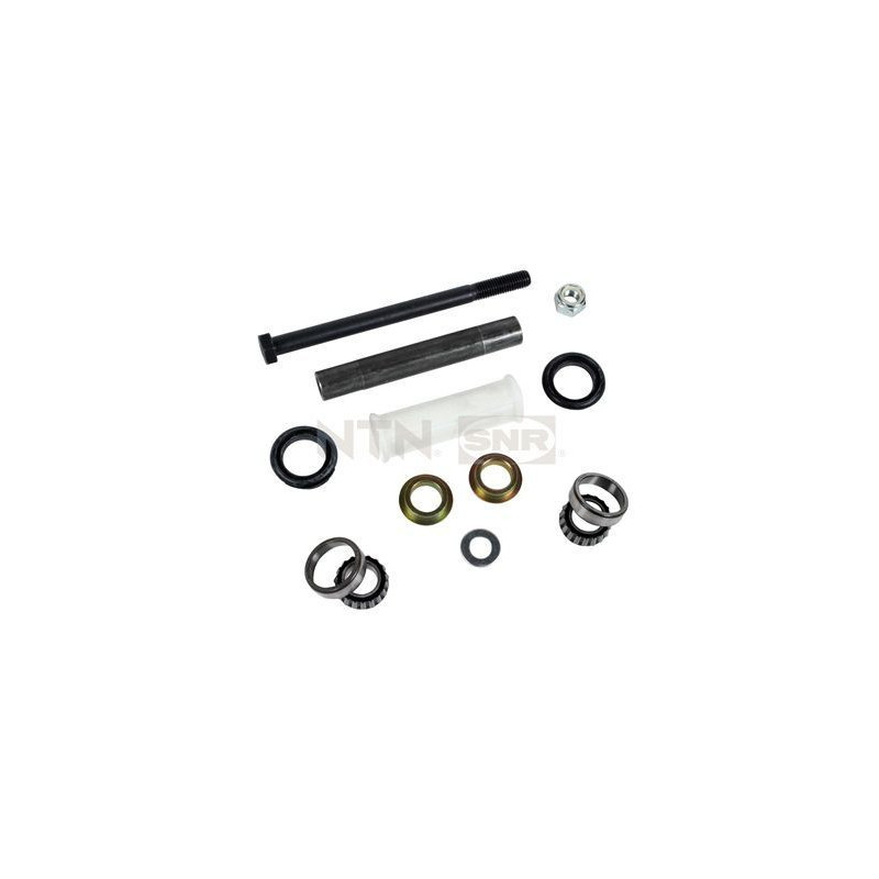 Braccio oscillante asse posteriore - SNR