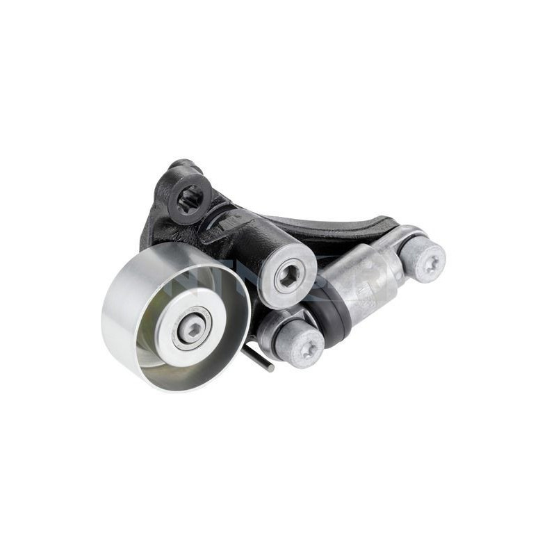 Tendicinghia trapezoidale - SNR