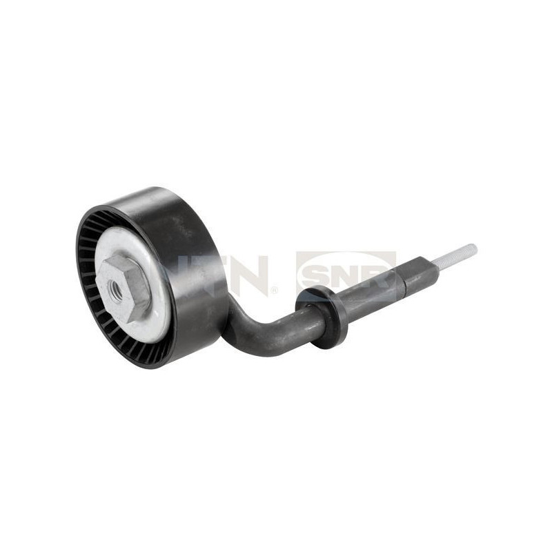 Tendicinghia trapezoidale - SNR