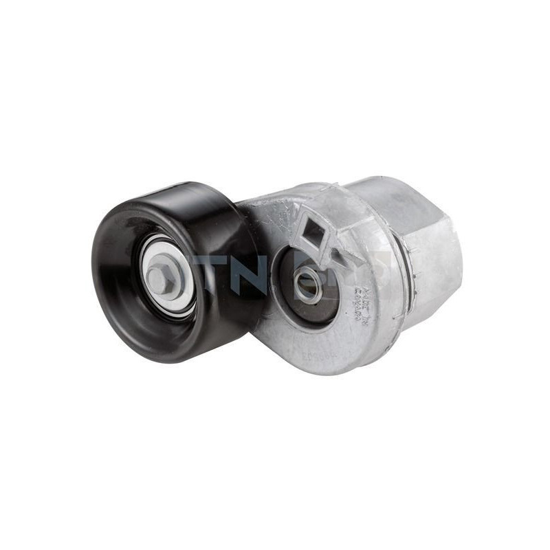 Tendicinghia trapezoidale - SNR