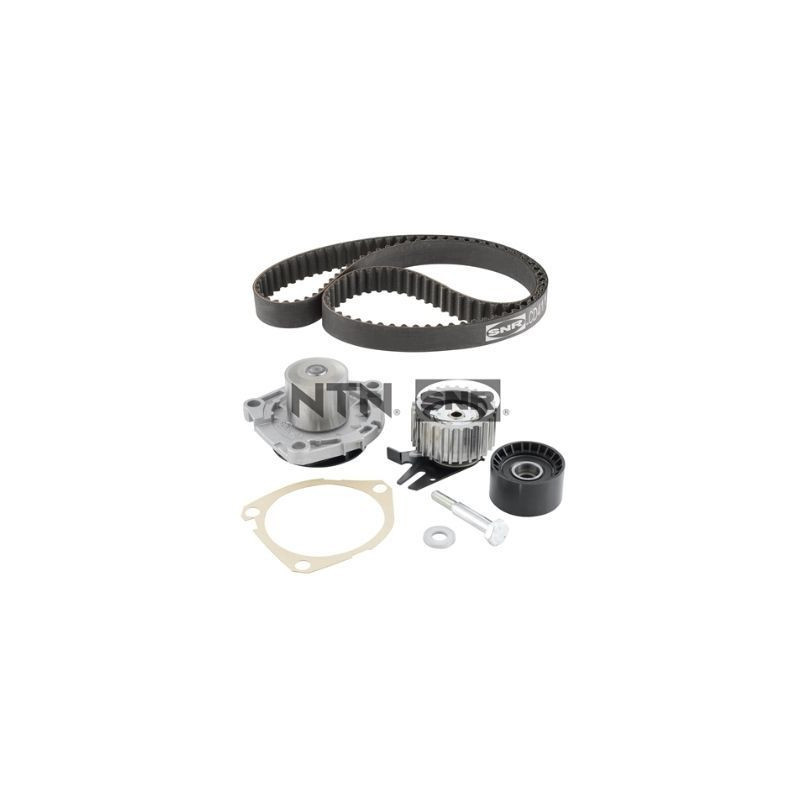 Tendicinghia trapezoidale - SNR