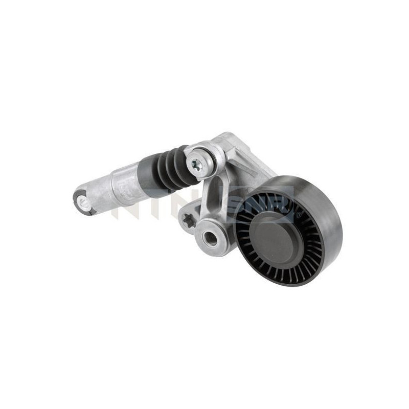 Tendicinghia trapezoidale - SNR