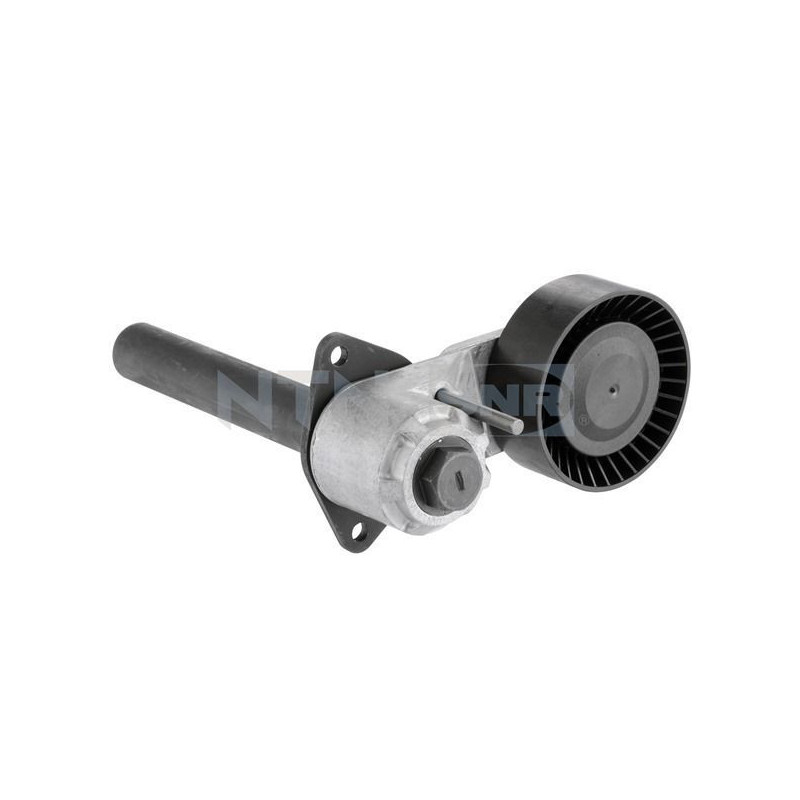 Tendicinghia trapezoidale - SNR