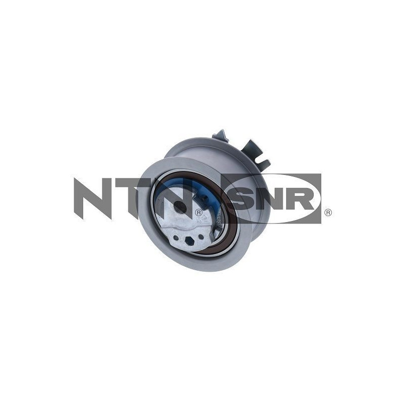 Tendicinghia trapezoidale - SNR