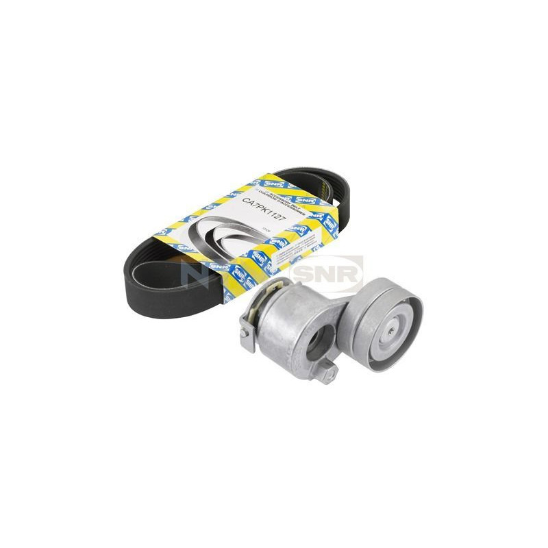 Tendicinghia trapezoidale - SNR